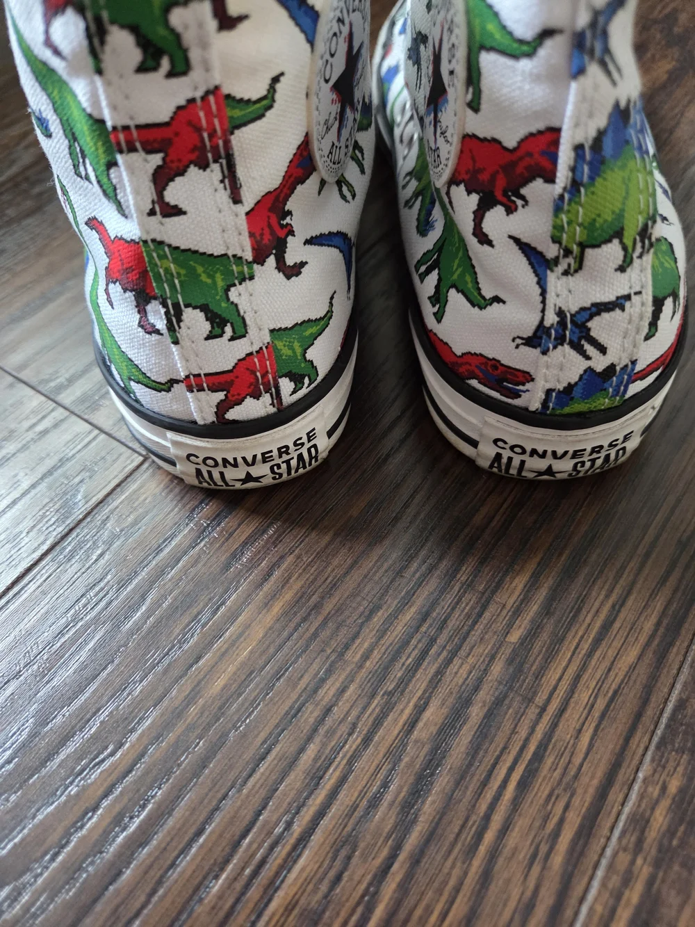 Converse High Top Sneakers with Colorful Dinosaur Print